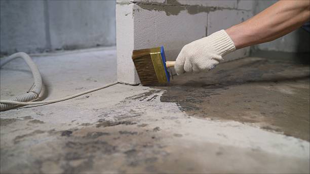 SJ Waterproofing Pros Waterproofing coverage map for Saint Johns, MI and surrounding area